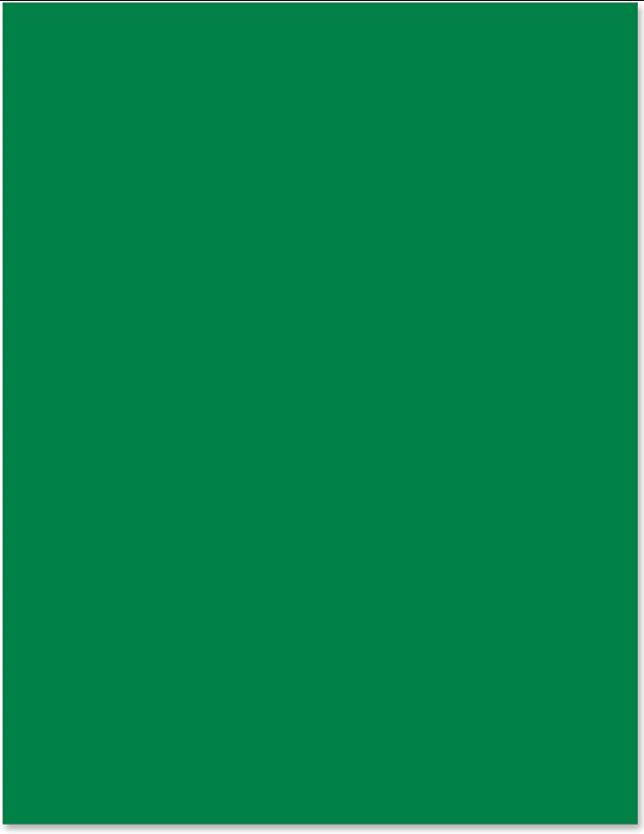 Green 65 lb Cover Card Stock - 10 x 13 - 100/package