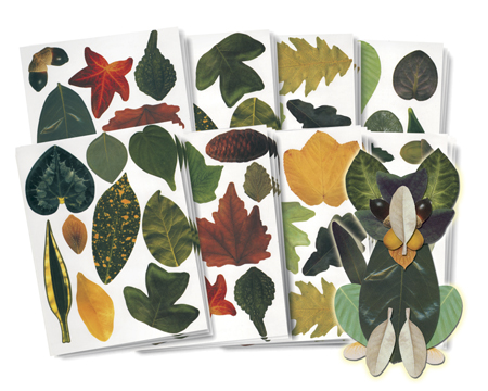 Roylco 15334 Crafty Leaves Paper - 8.5" x 11"