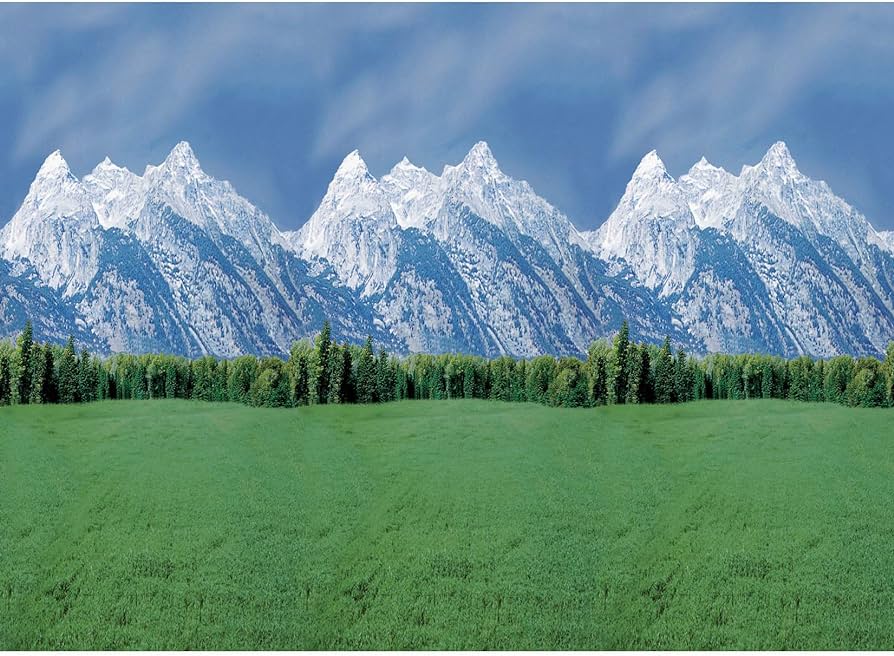 Pacon 56875 Fadeless Paper Rolls Mountains - 48' x 50'
