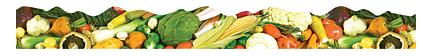 Trend T92391 Terrific Trimmers Vegetable Mix - 2 1/4" x 39"