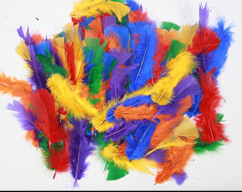 C488 Feathers Assorted Colours