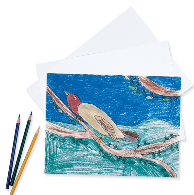 Pacon 4723 Sulphite Drawing Paper - Medium Weight - 12x18